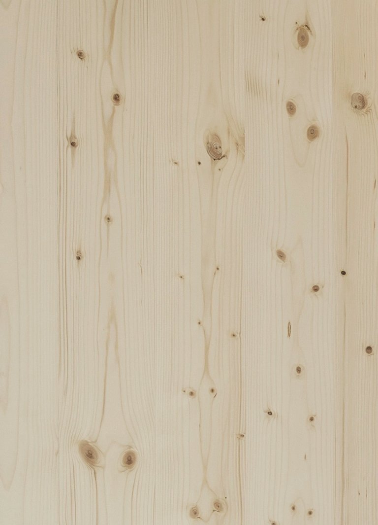 03_Mat_Fusta Pi Larix_01