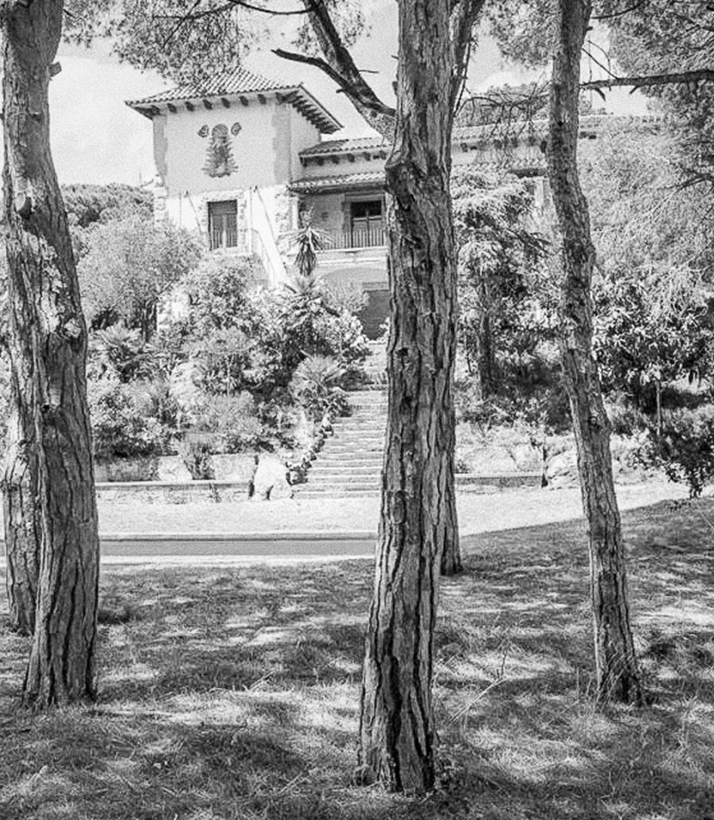 Casa 2452_NordEst Arquitectura_Sant Andreu, Spain_Entorn 03