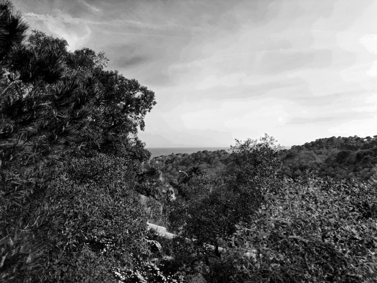 2448_NordestArquitectu_002