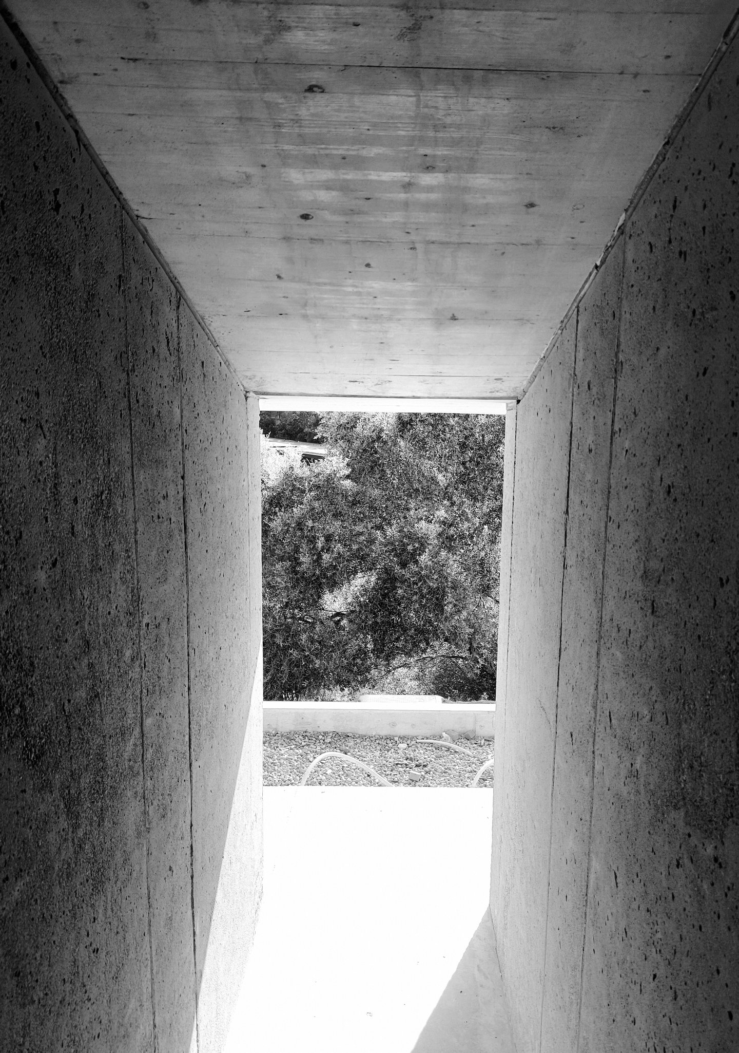llafranc (1) copia