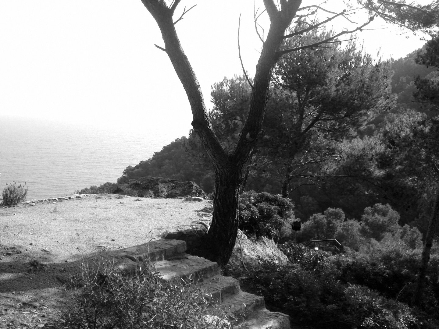 Casa 1401_NordEst Arquitectura_Begur, Spain_Entorn 02