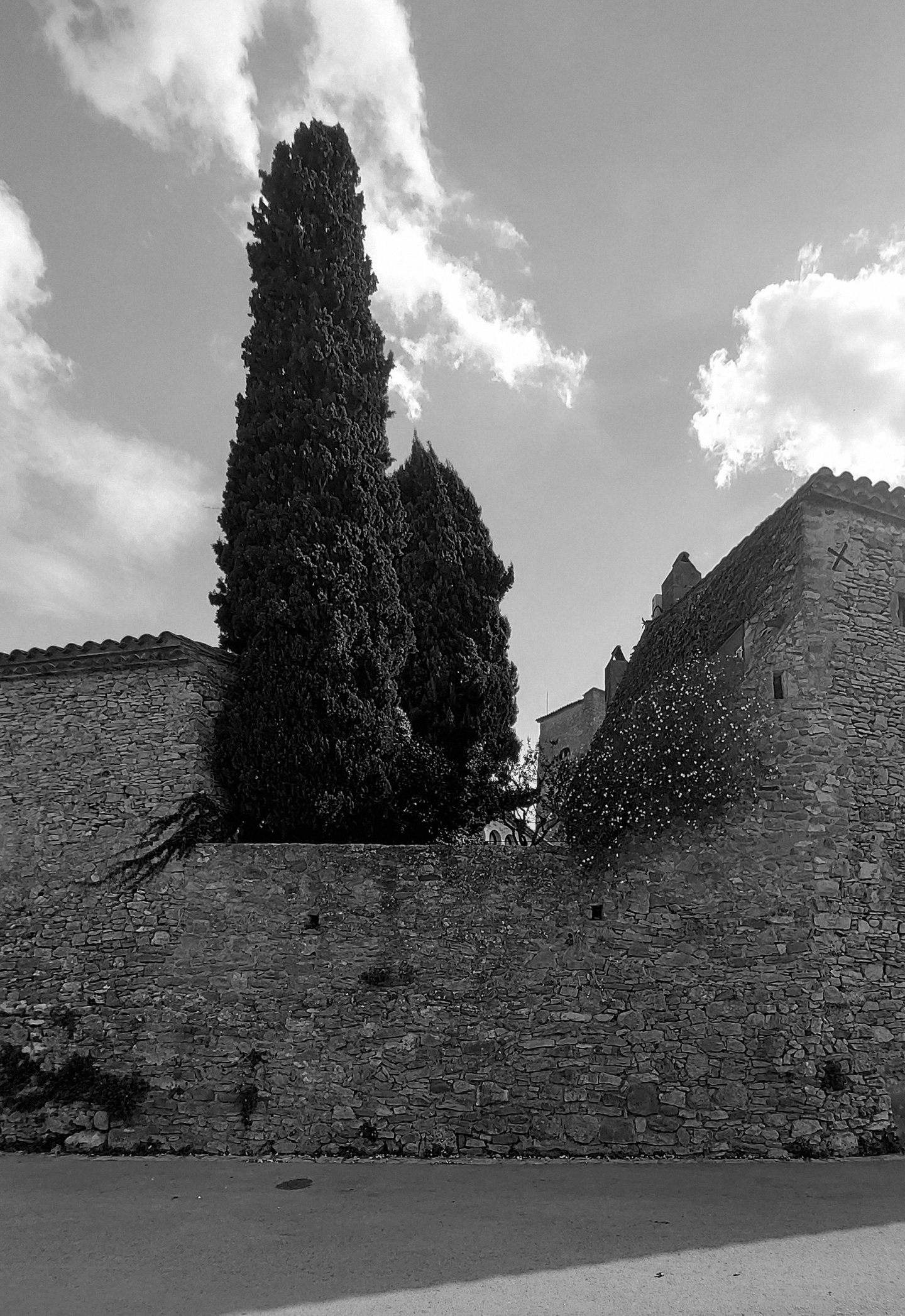 20231018_133836 copia