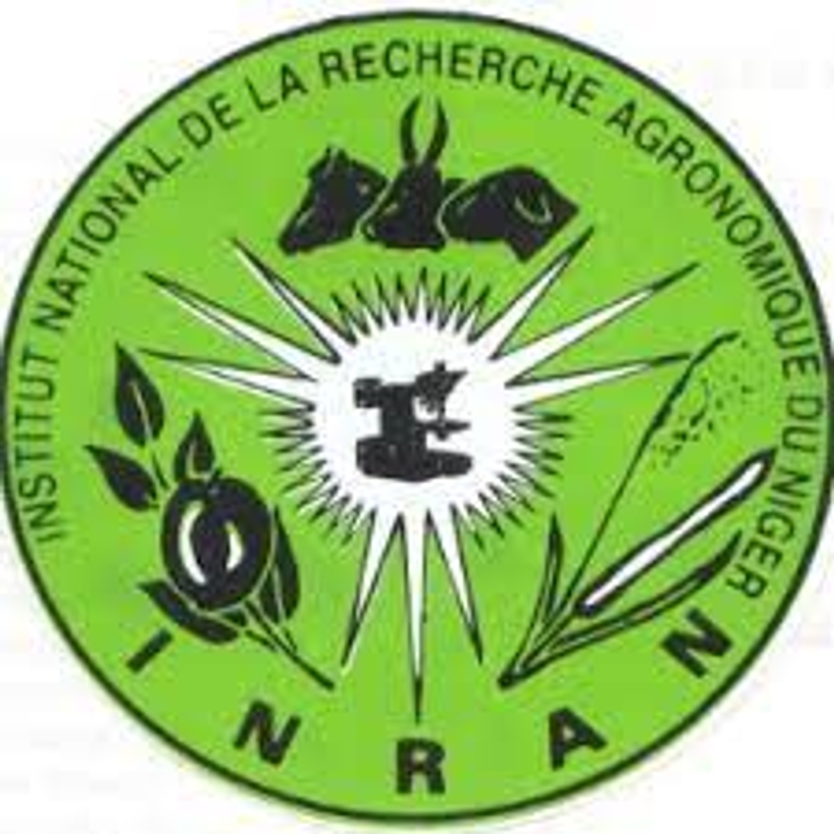 Logo of Niger National Institute of Agricultural Research (INRAN)