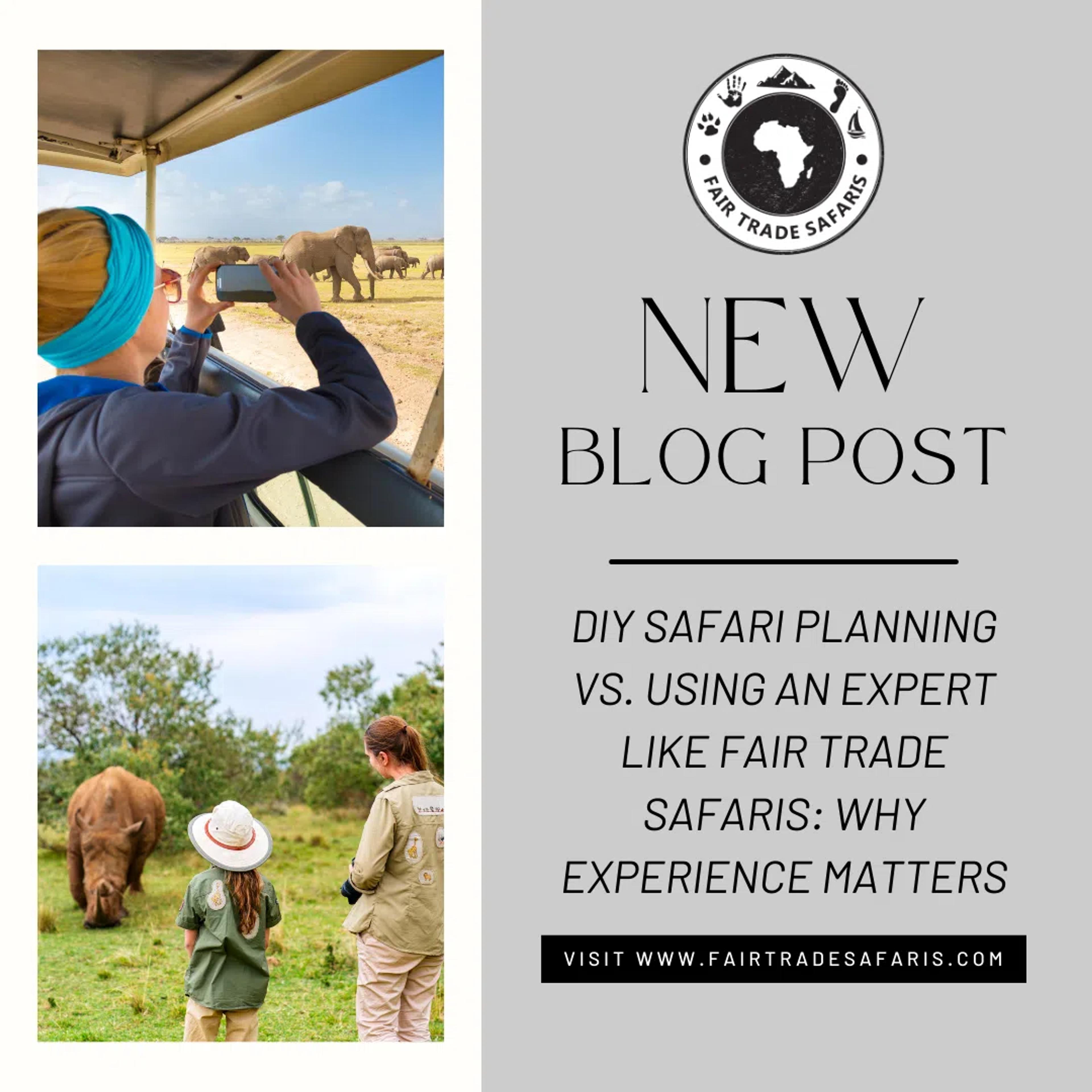 DIY Safari