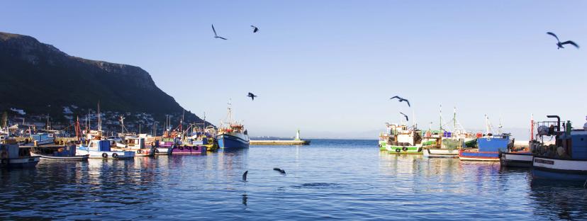 Kalk Bay Pano SA