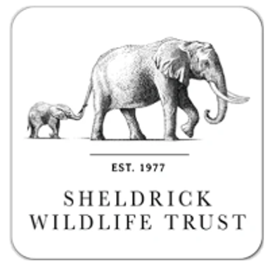 The Sheldrick Wildlife Trust (Kenya) 