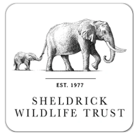 The Sheldrick Wildlife Trust (Kenya)