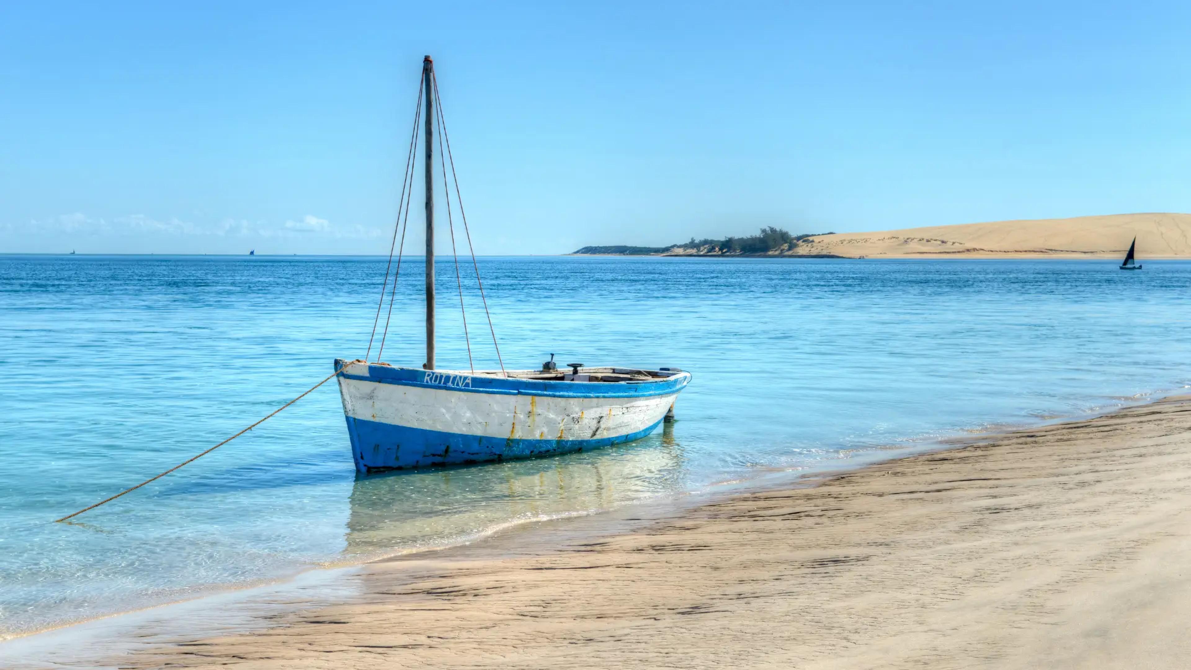 Beneath African Skies: The Mozambique Experience