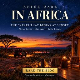 After dark in Africa