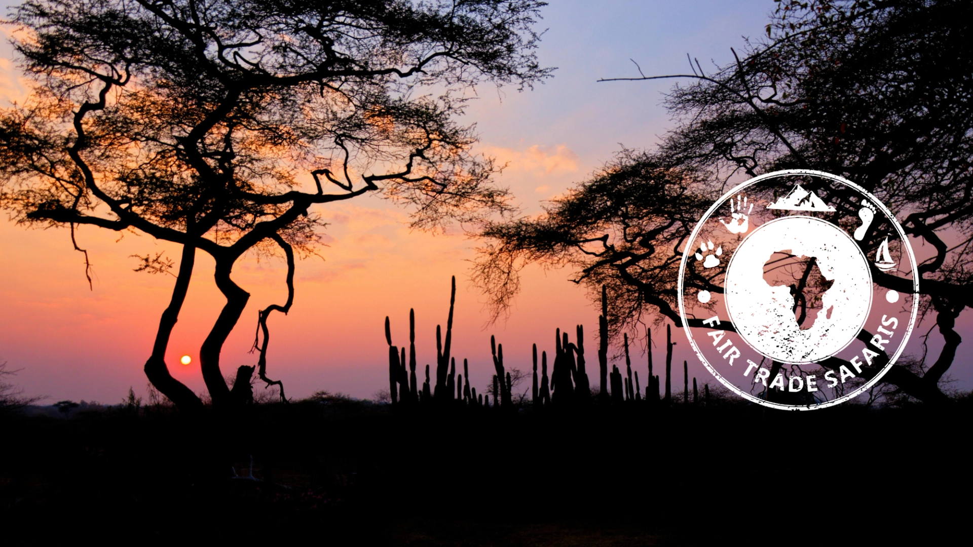 Silhouetted acacia trees and cacti against a colorful sunset sky on the African savanna, with the Fair Trade Safaris logo displayed on the right.