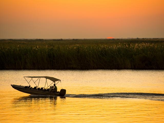 Chobe National Park River 