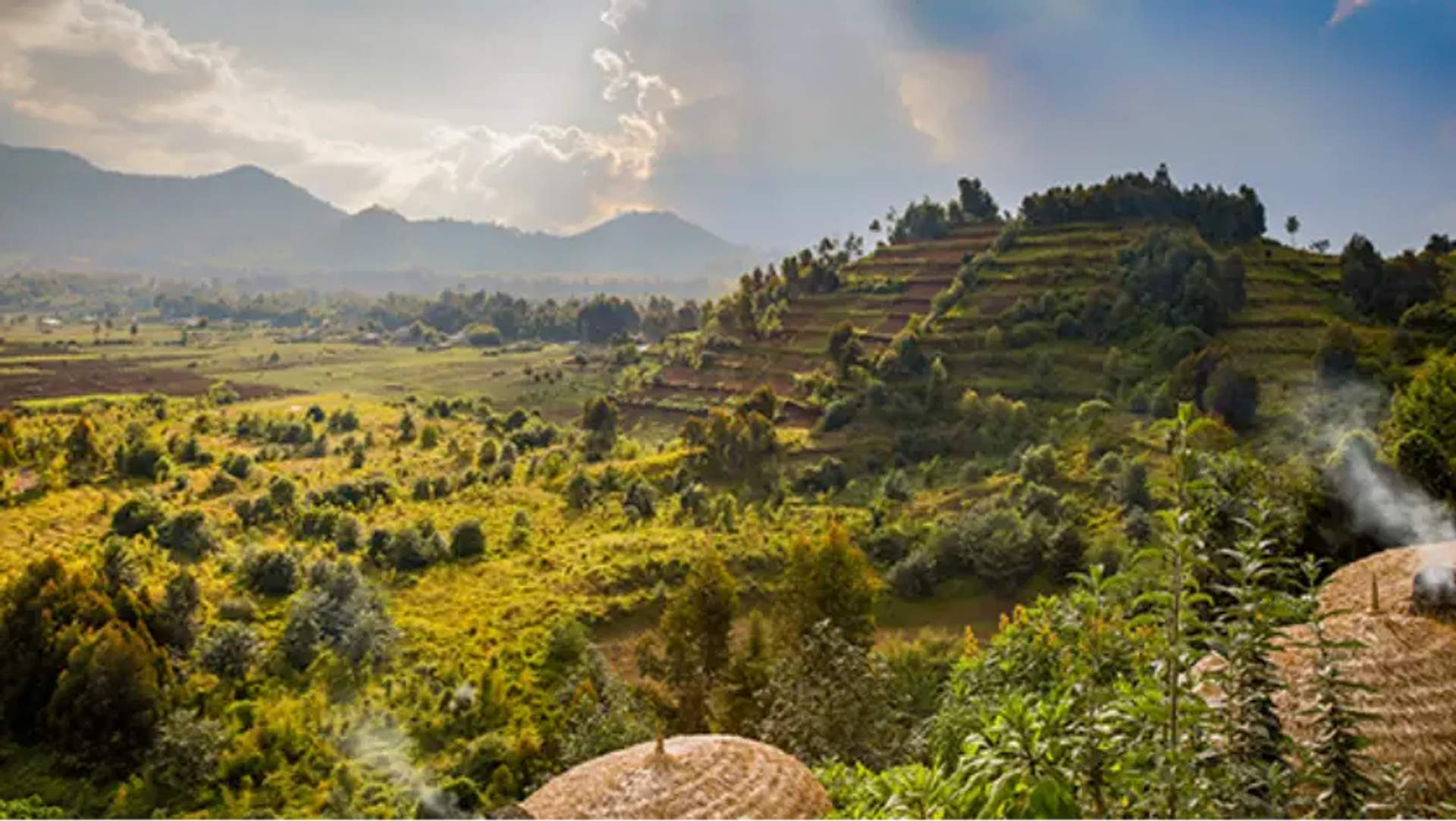 Bwindi National Park