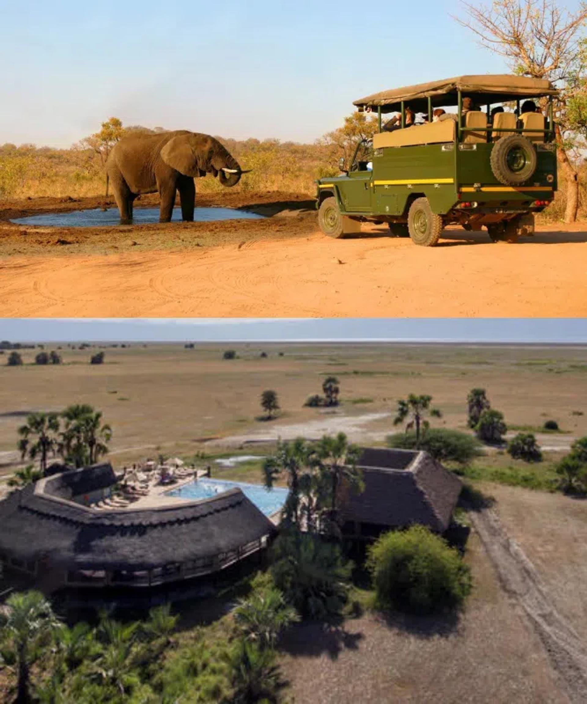 On Safari