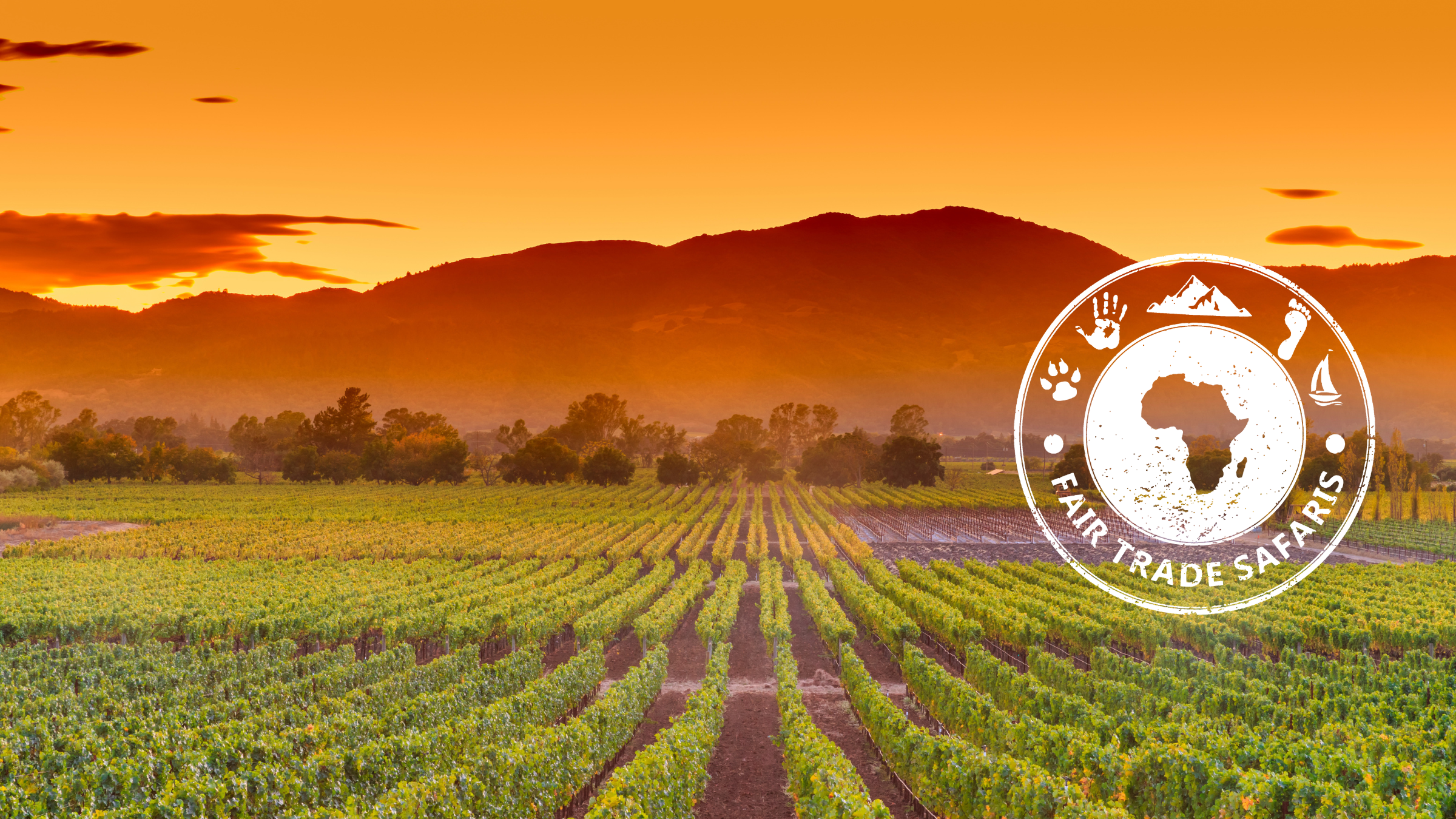 winelands