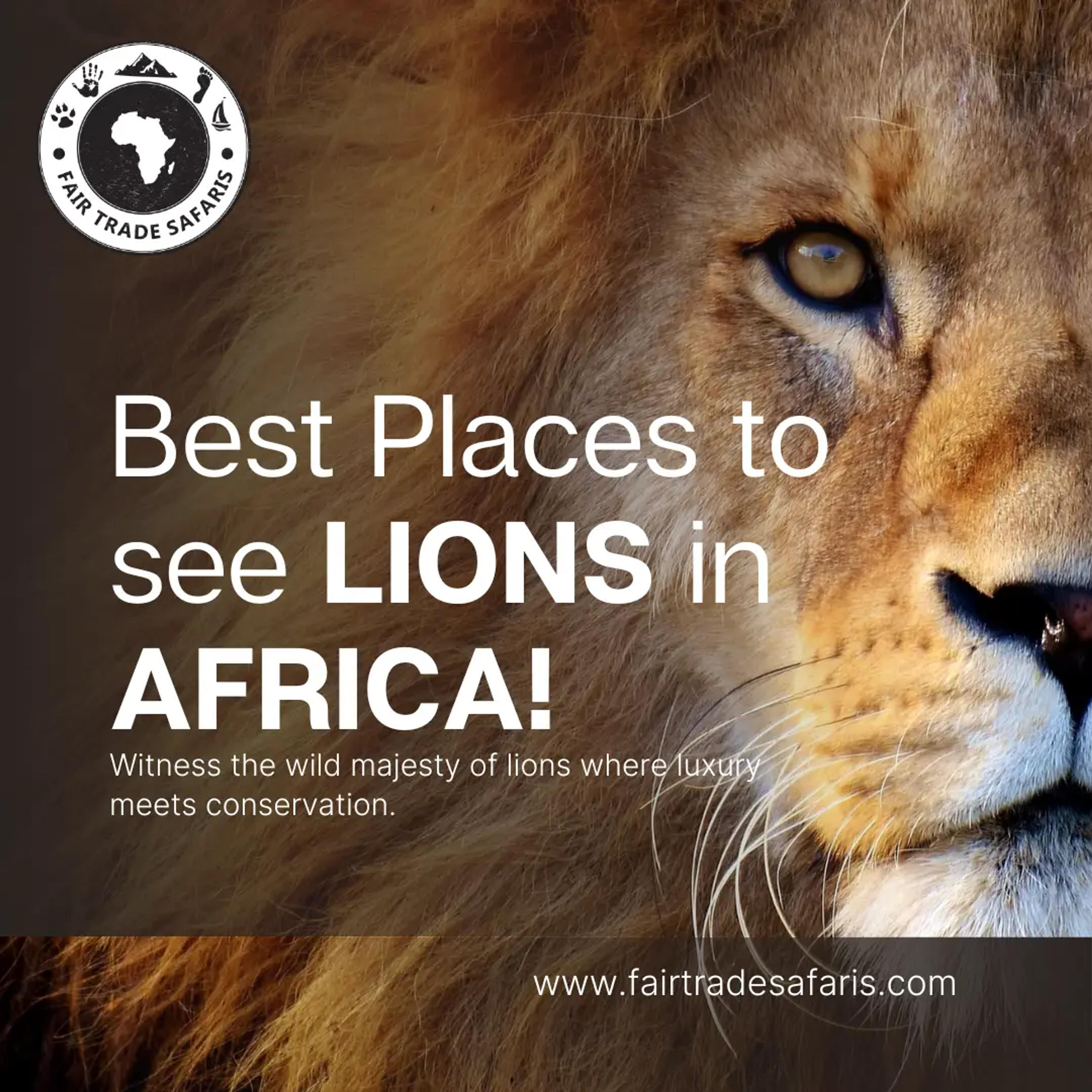 Lions