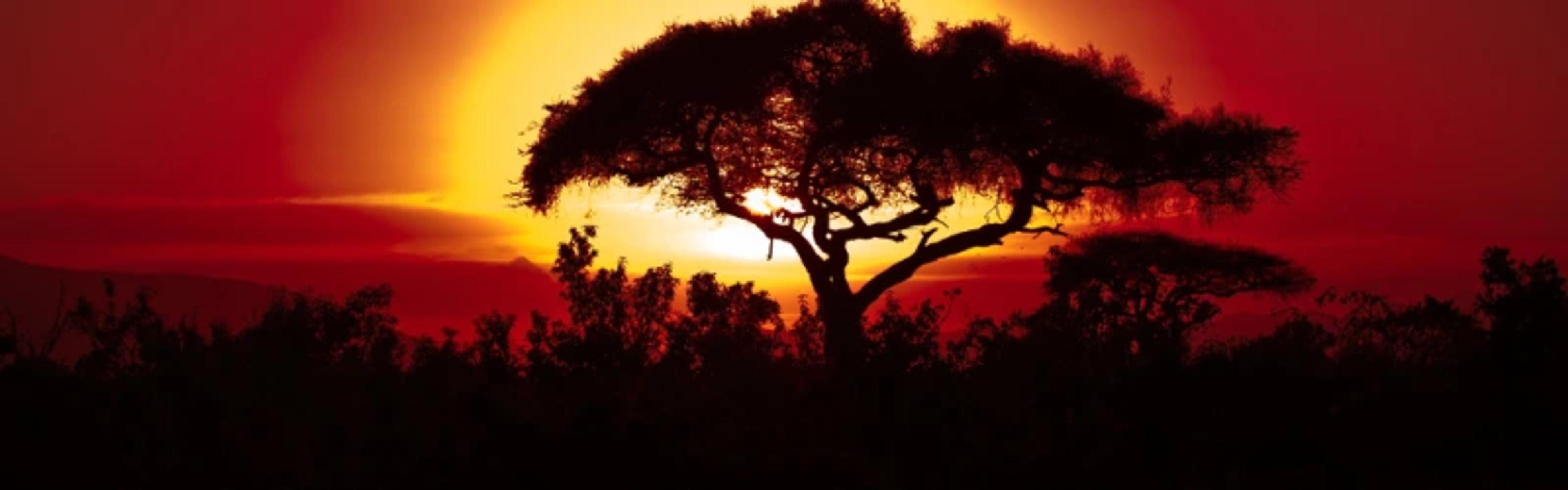Sunset in Africa