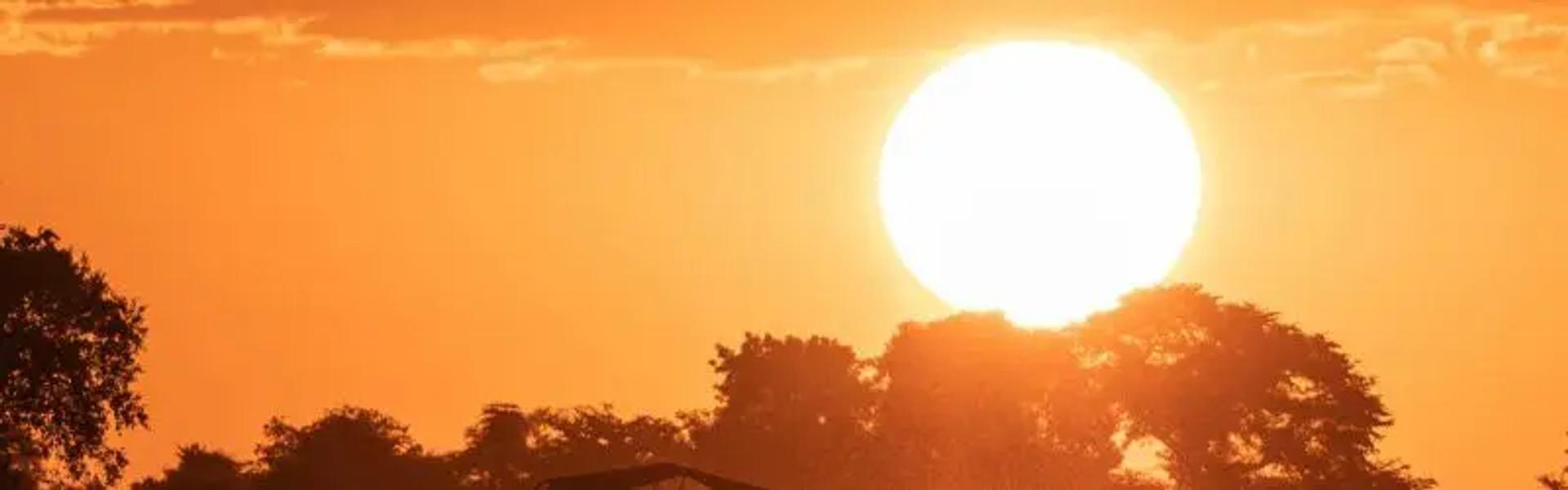 Beautiful Sunset Africa