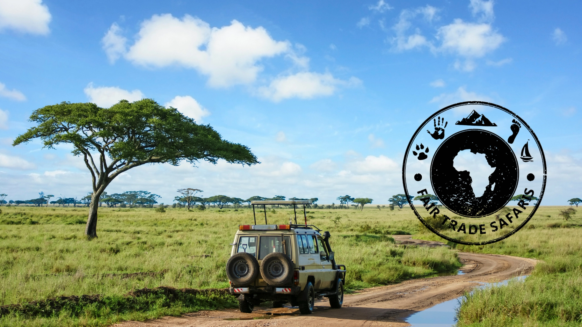 Safari vehicle driving along a dirt road through open grassland beneath an acacia tree, with the Fair Trade Safaris logo displayed on the right.