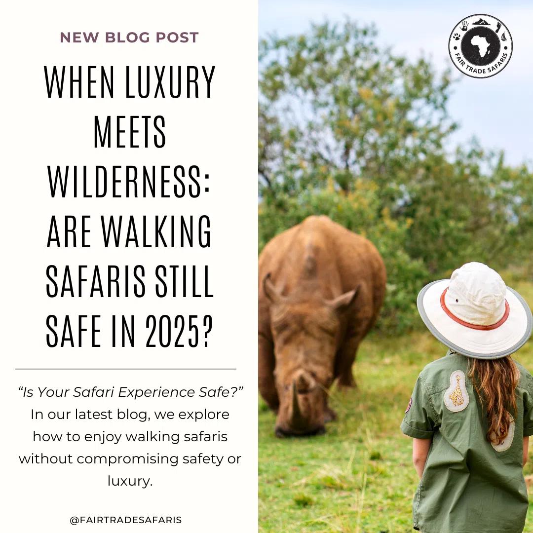Luxury-meet-wilderness
