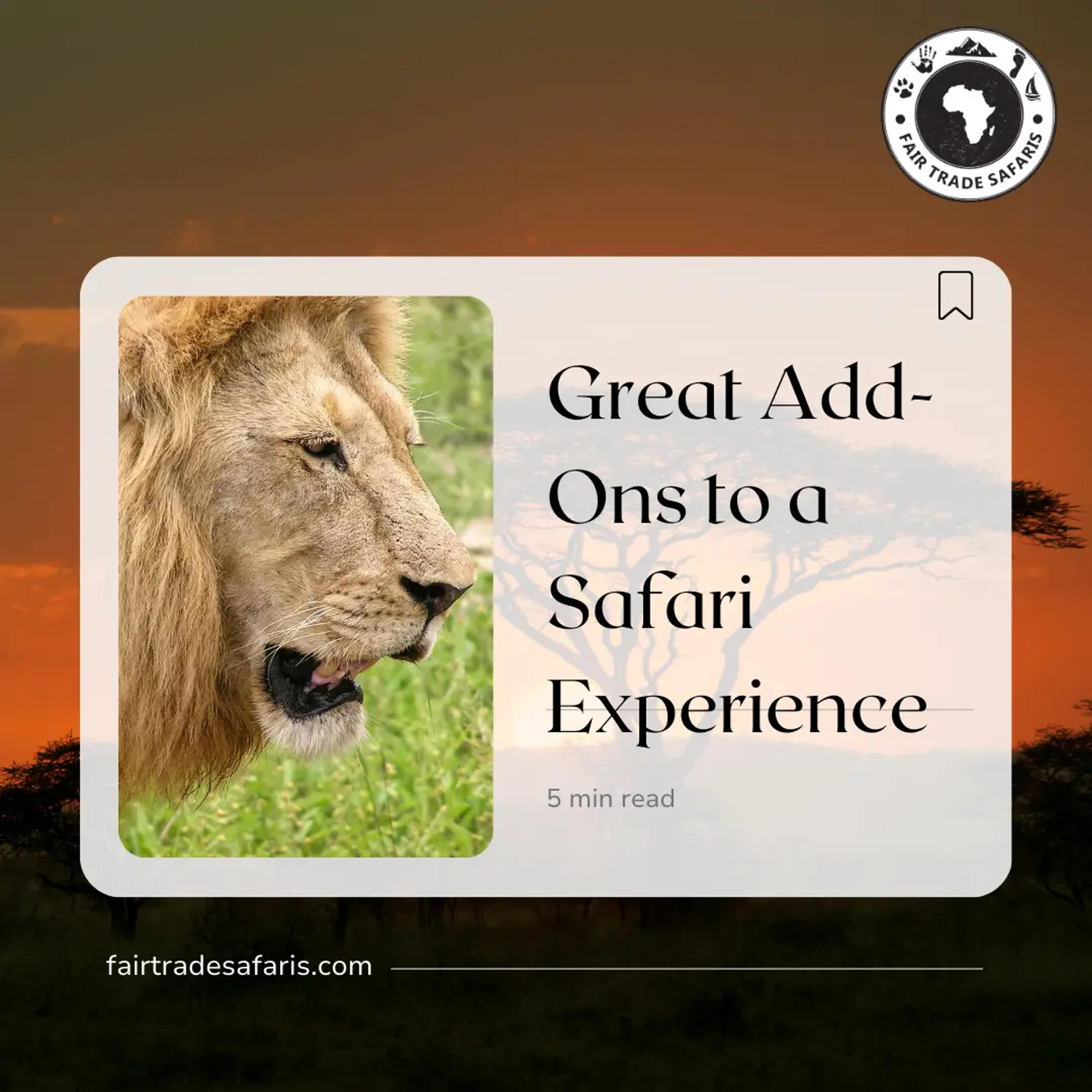 Lion portrait with a sunset safari background and the blog title “Great Add-Ons to a Safari Experience.