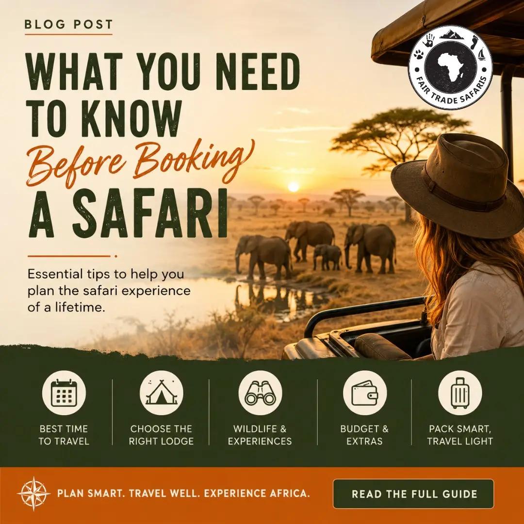 What you need to know Before Booking a Safari