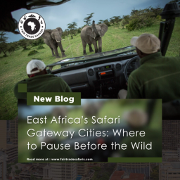 On Safari