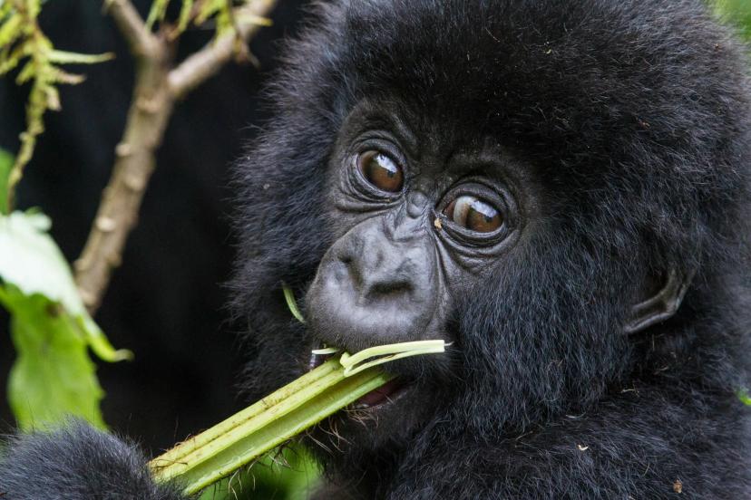 Experiences Uganda (1)