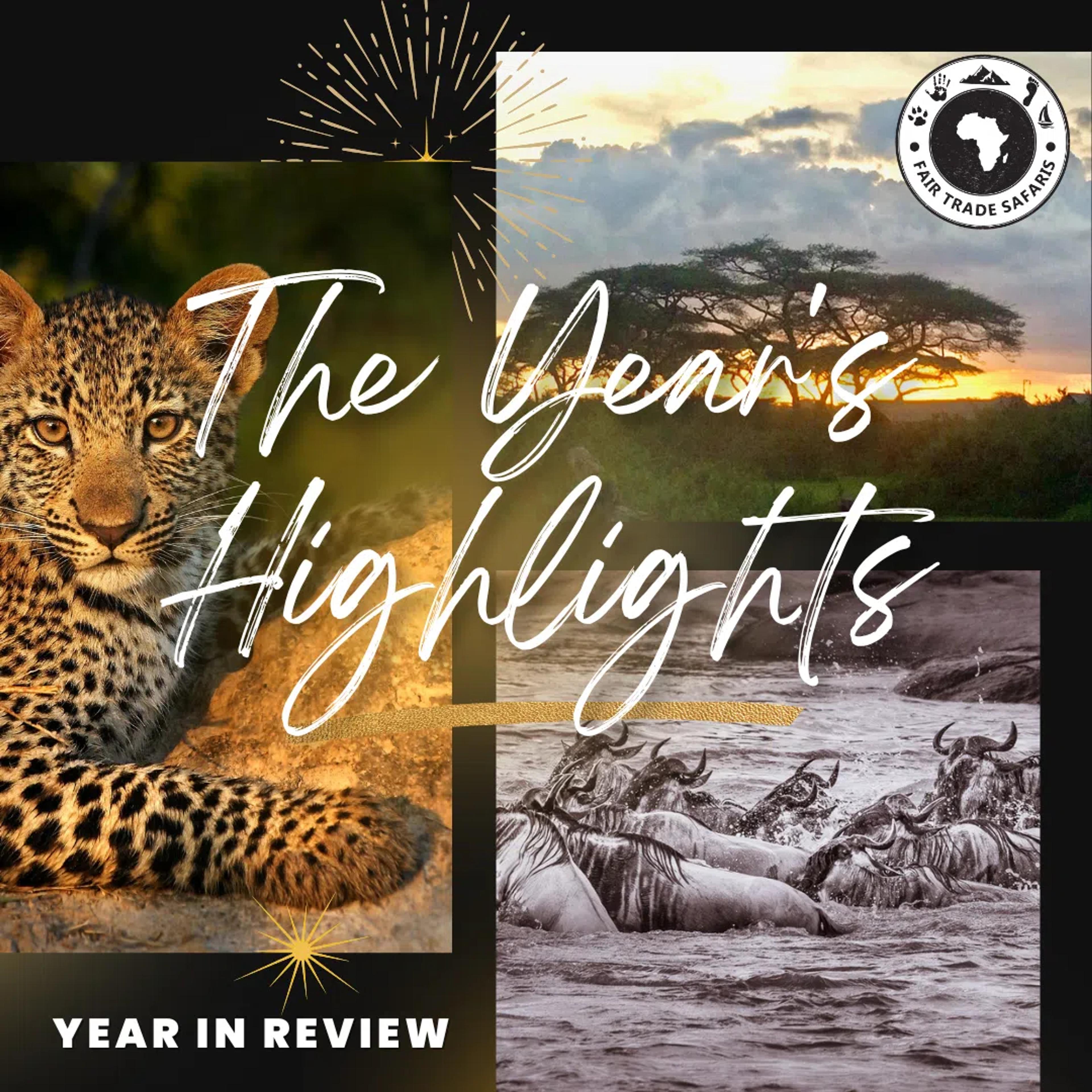 Year In REVIEW