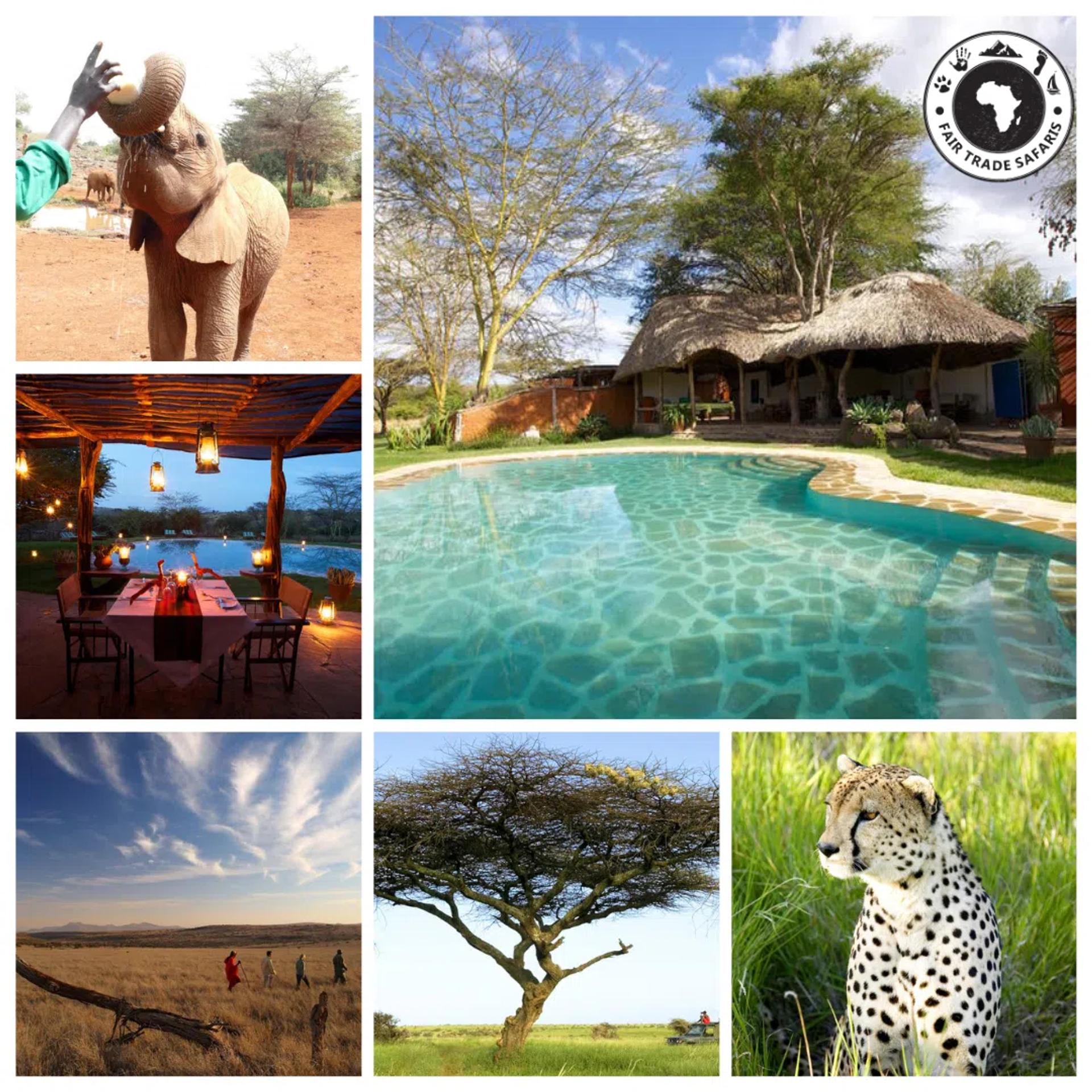 South Africa Wilderness