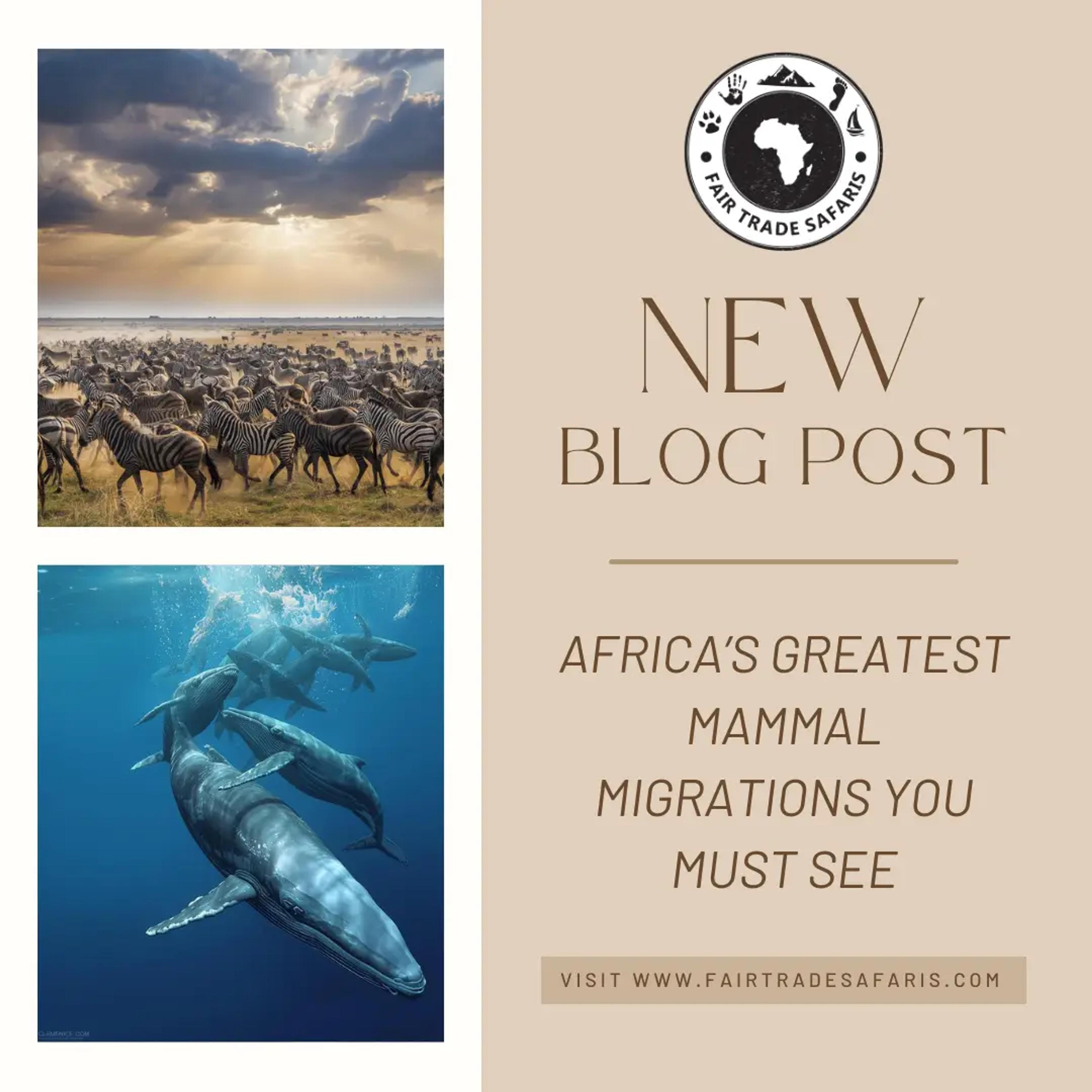 Africa’s Greatest Mammal Migrations You Must See