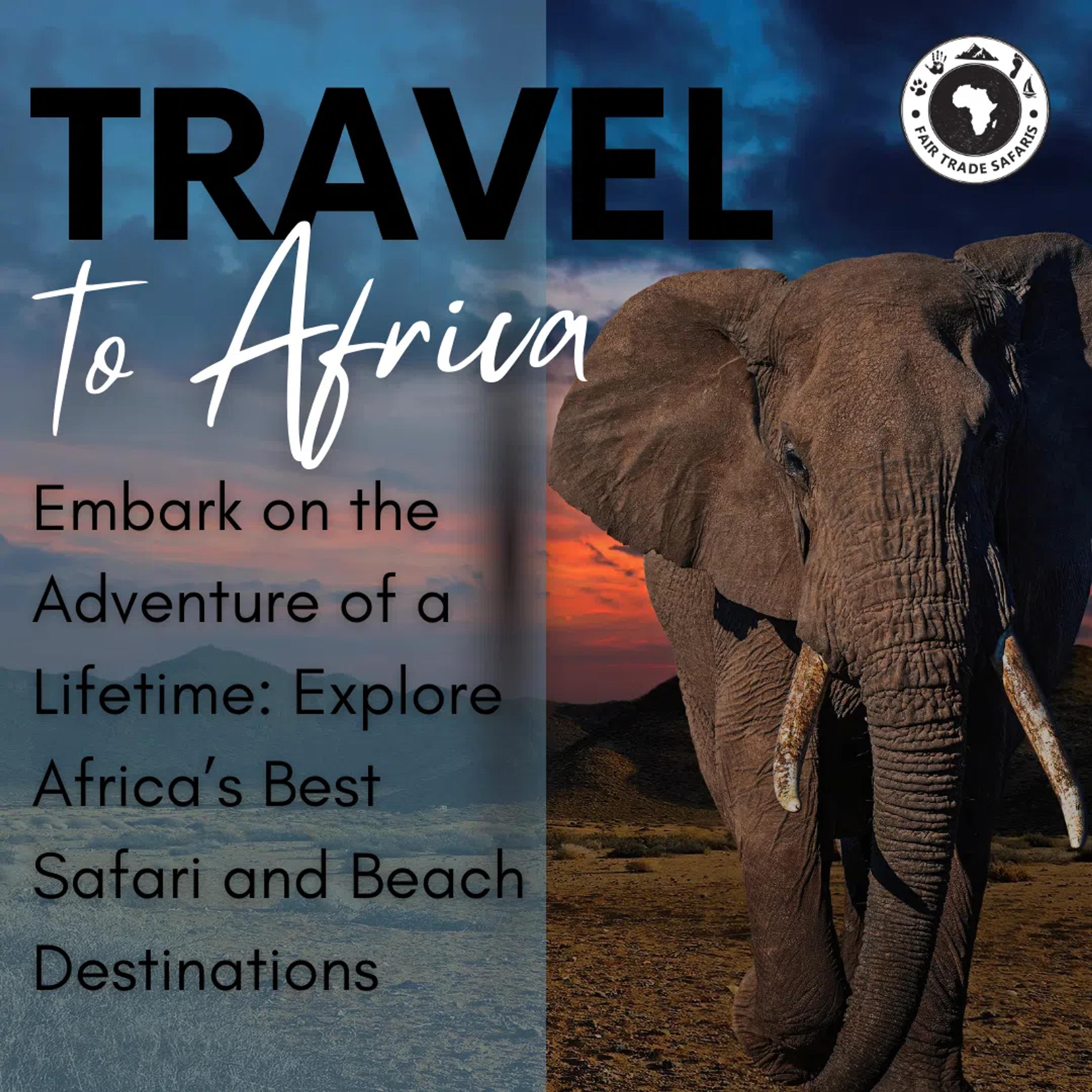Elephant at sunset with text: Travel to Africa – Explore Africa’s top safari and beach destinations.