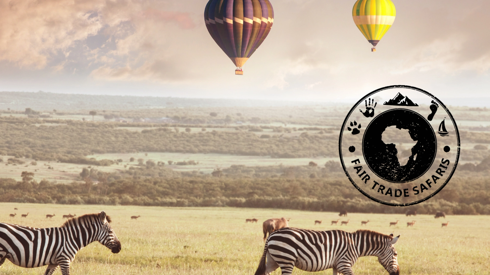 Zebras grazing on an open savanna with hot air balloons floating above the landscape at sunrise, featuring the Fair Trade Safaris logo on the right.