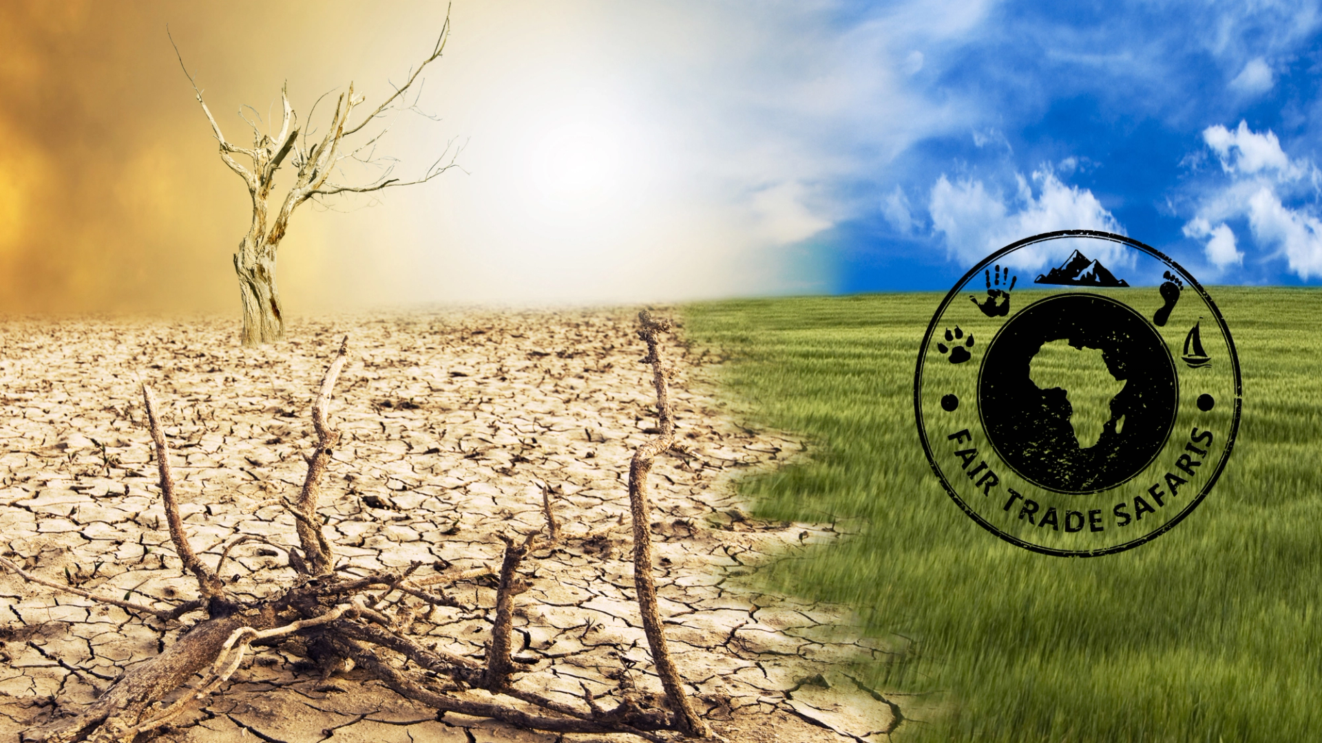 Split landscape showing cracked dry earth with a barren tree on one side and lush green grass under a blue sky on the other, with the Fair Trade Safaris logo displayed on the right.