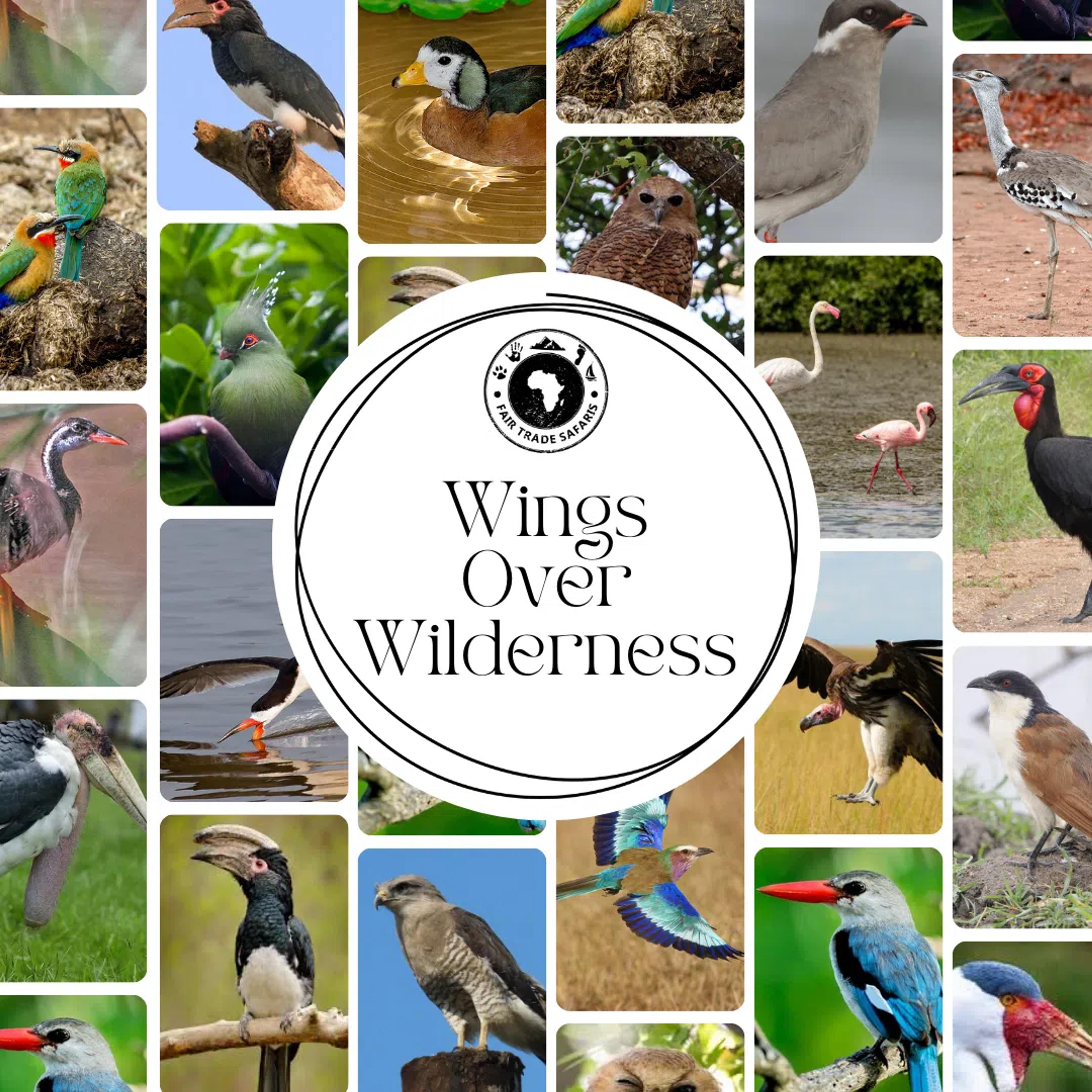 Where the Wild Takes Flight