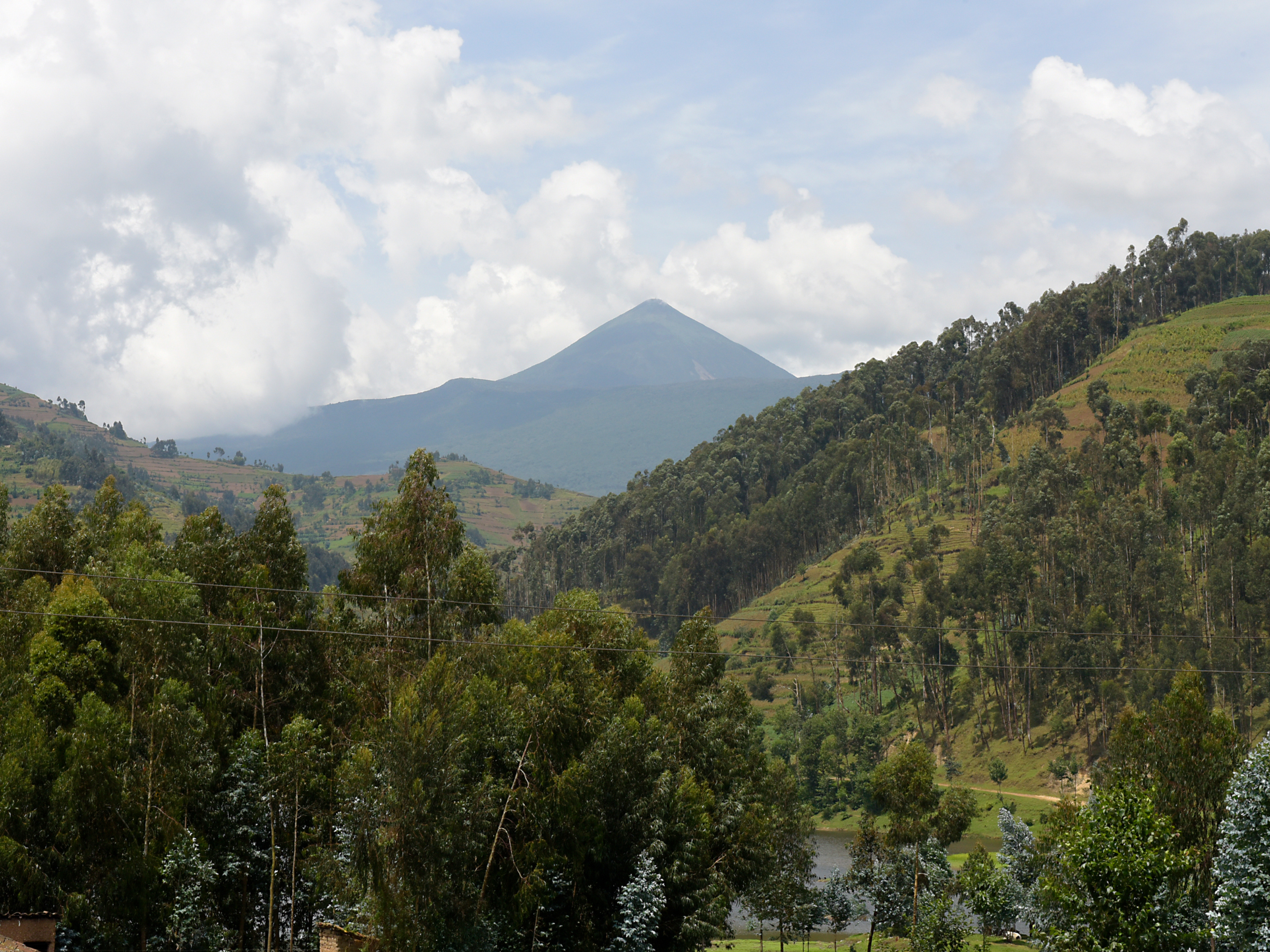 A volcanic rainforest park near the Virunga Mountains offering gorilla trekking, golden monkey encounters, and dramatic mountain scenery.