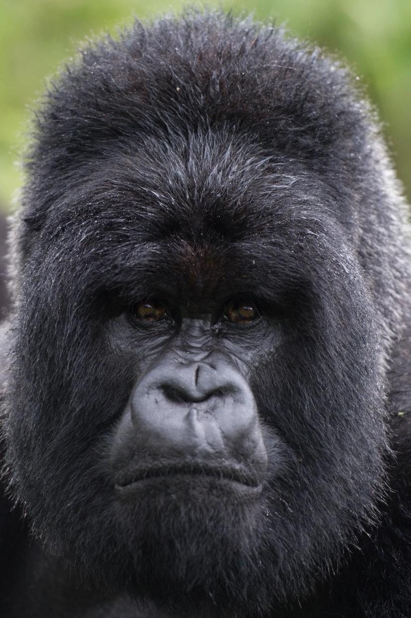 Experiences Uganda(1)