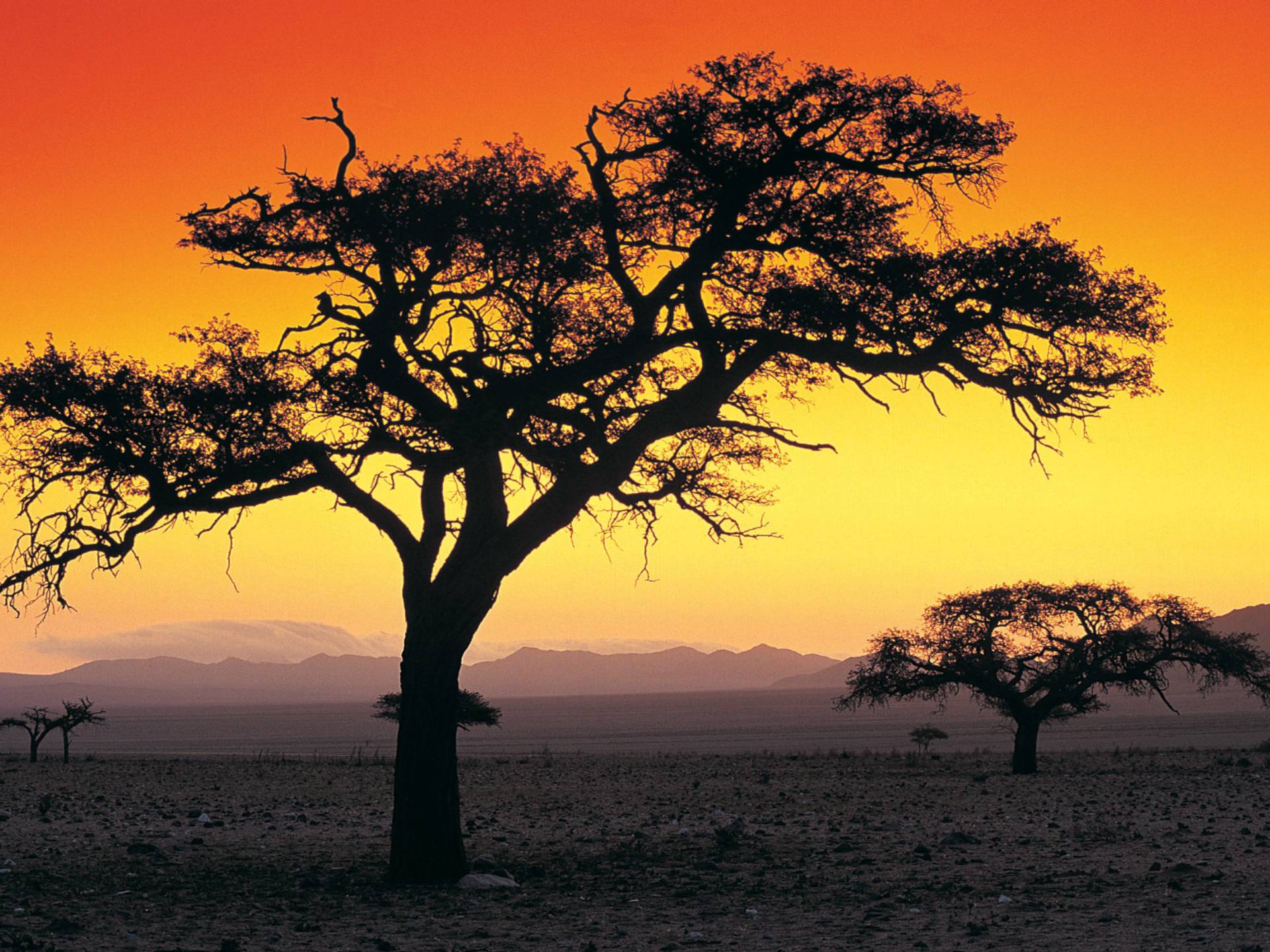 Sunset in Kenya