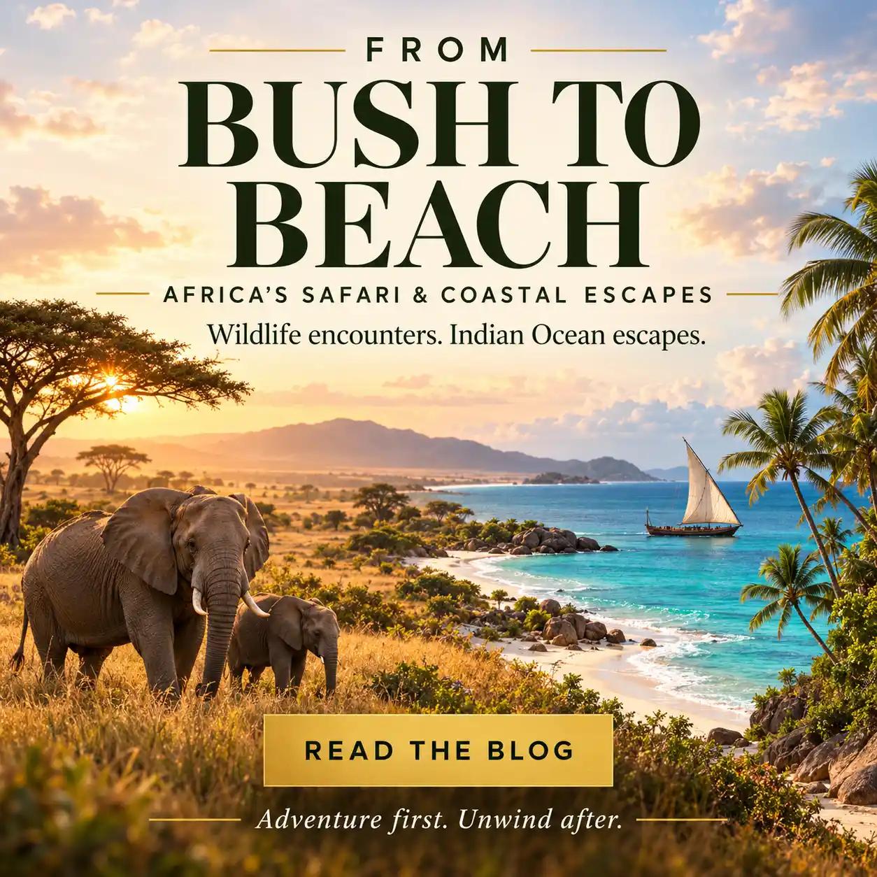 From Bush to Beach