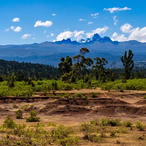 Safari Landscape
