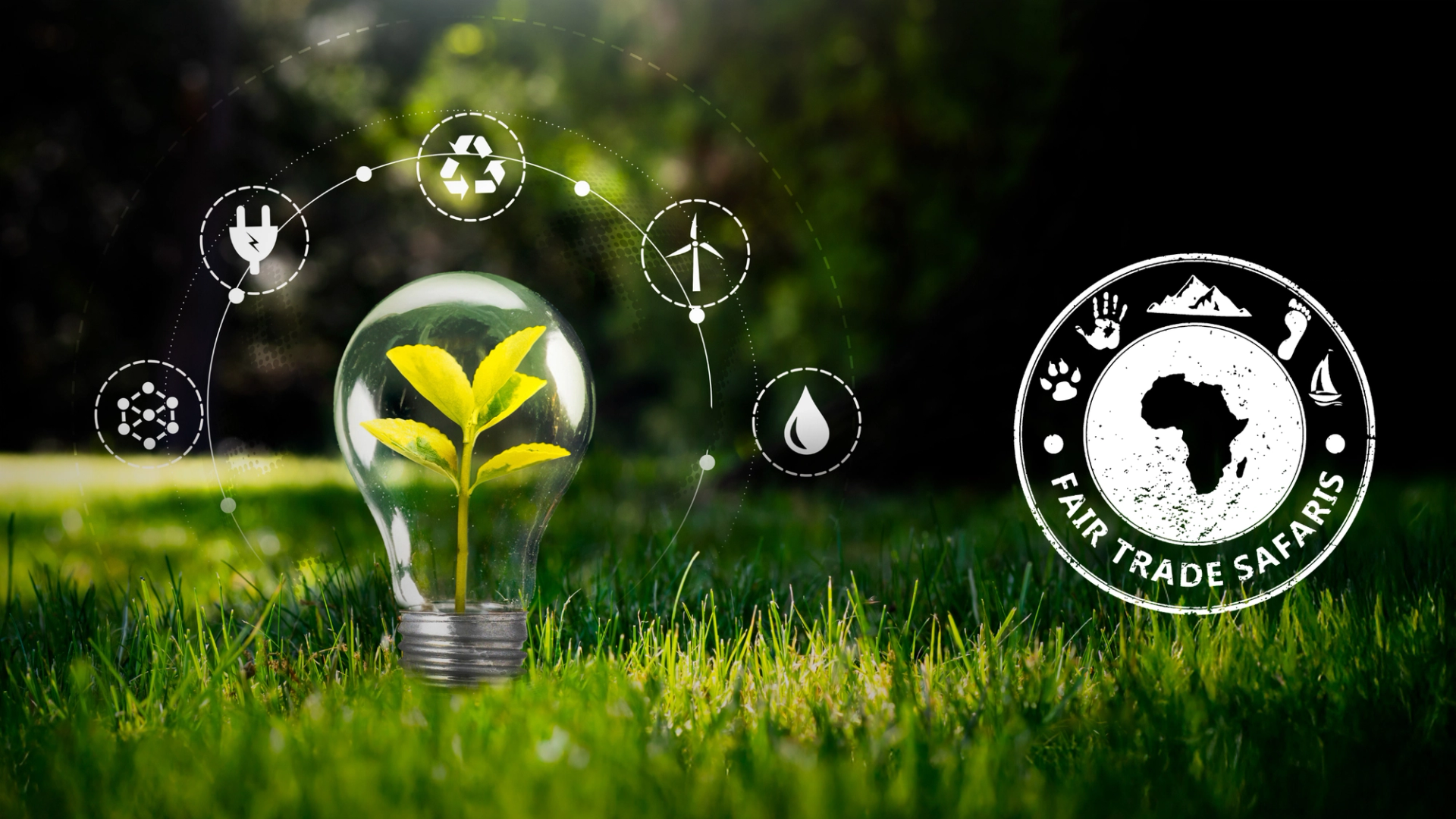 Light bulb with a green plant growing inside set on grass, surrounded by sustainability icons for recycling, renewable energy, water, and clean power, with the Fair Trade Safaris logo on the right.