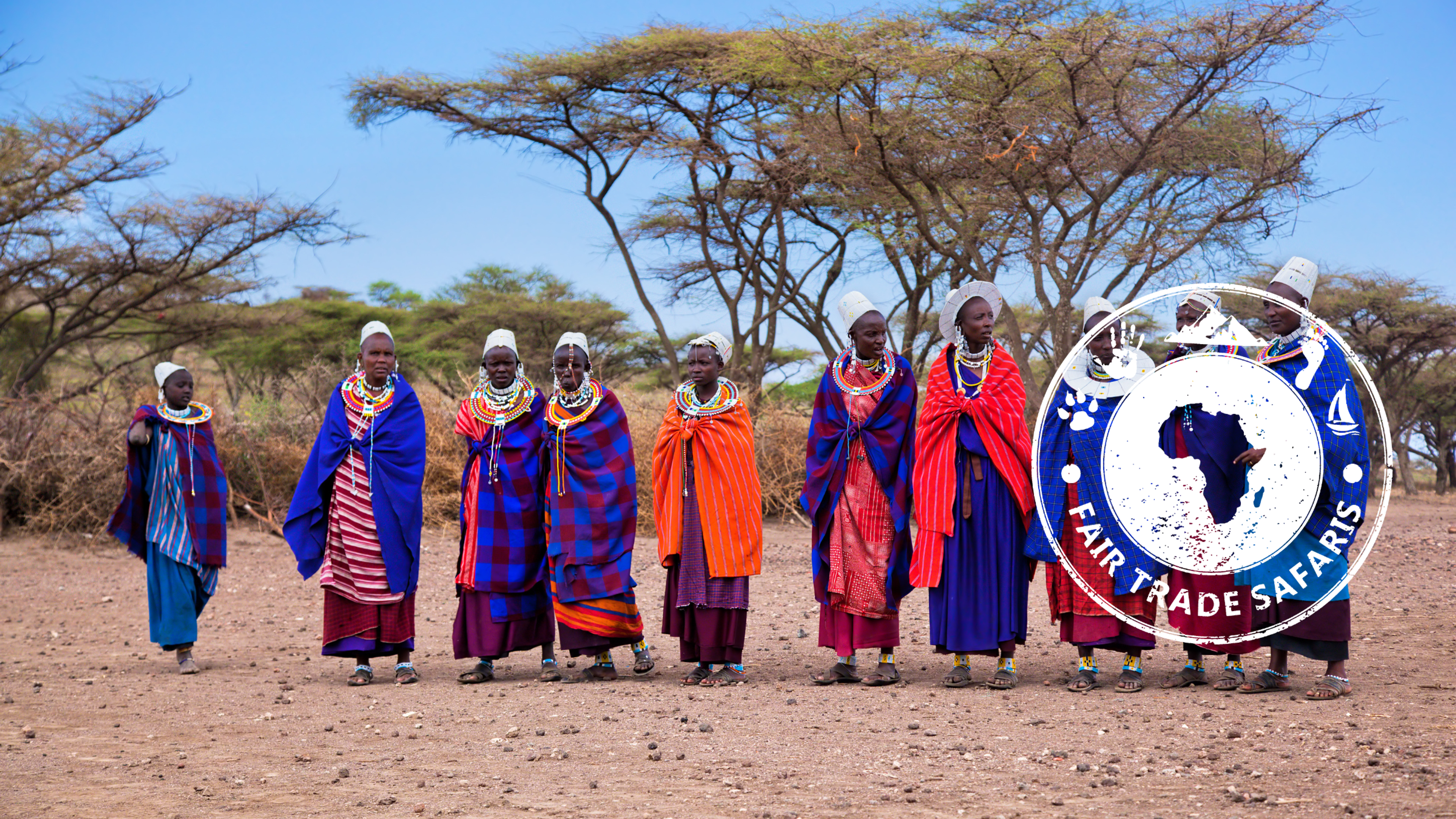 Group of Maasai women wearing colorful traditional clothing and beaded jewelry walking across a dry savanna landscape, with acacia trees in the background and the Fair Trade Safaris logo displayed on the right.