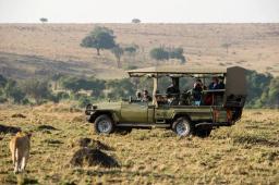 Open safari vehicle with tourists observing a lioness in the Kenyan savannah