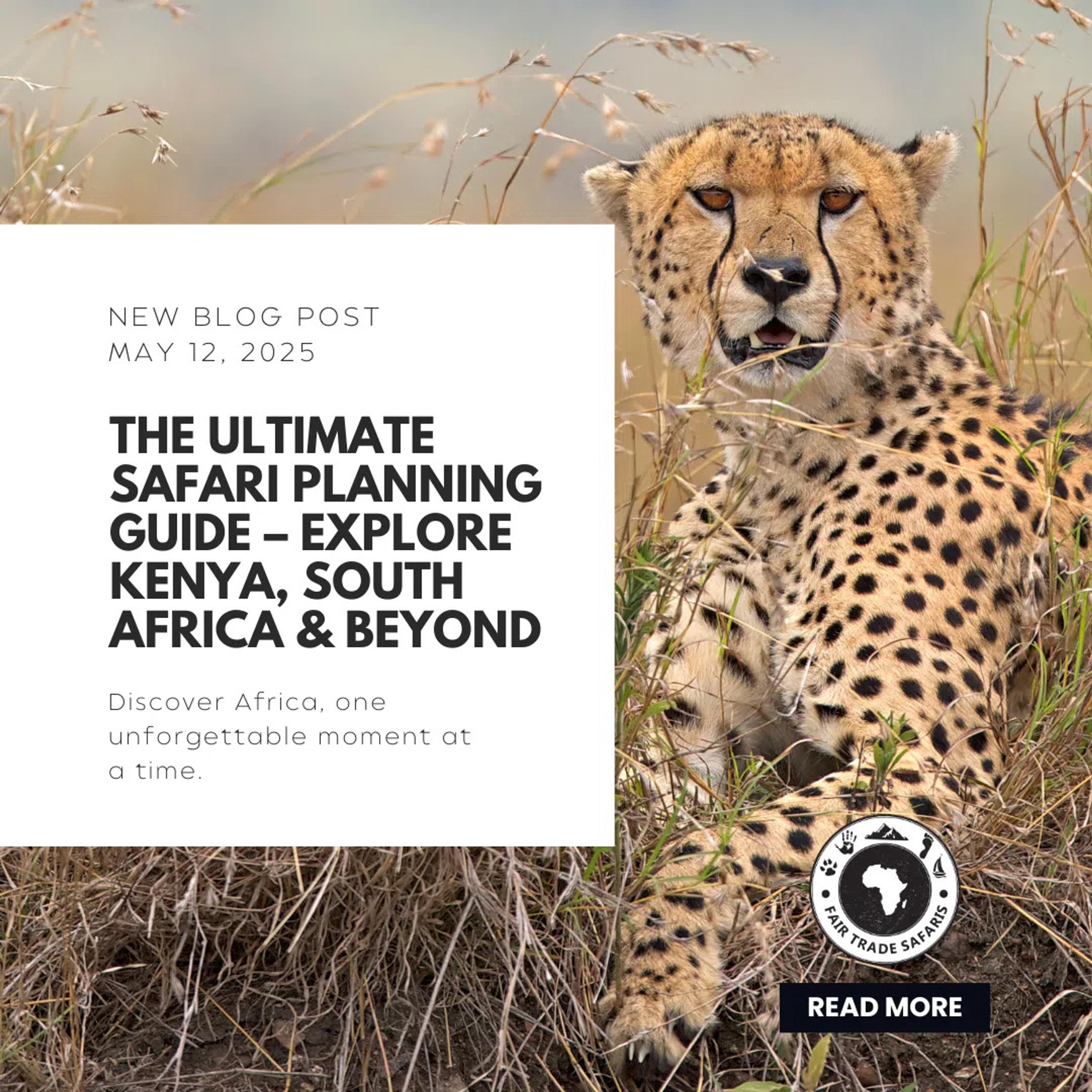 Exploring Africa