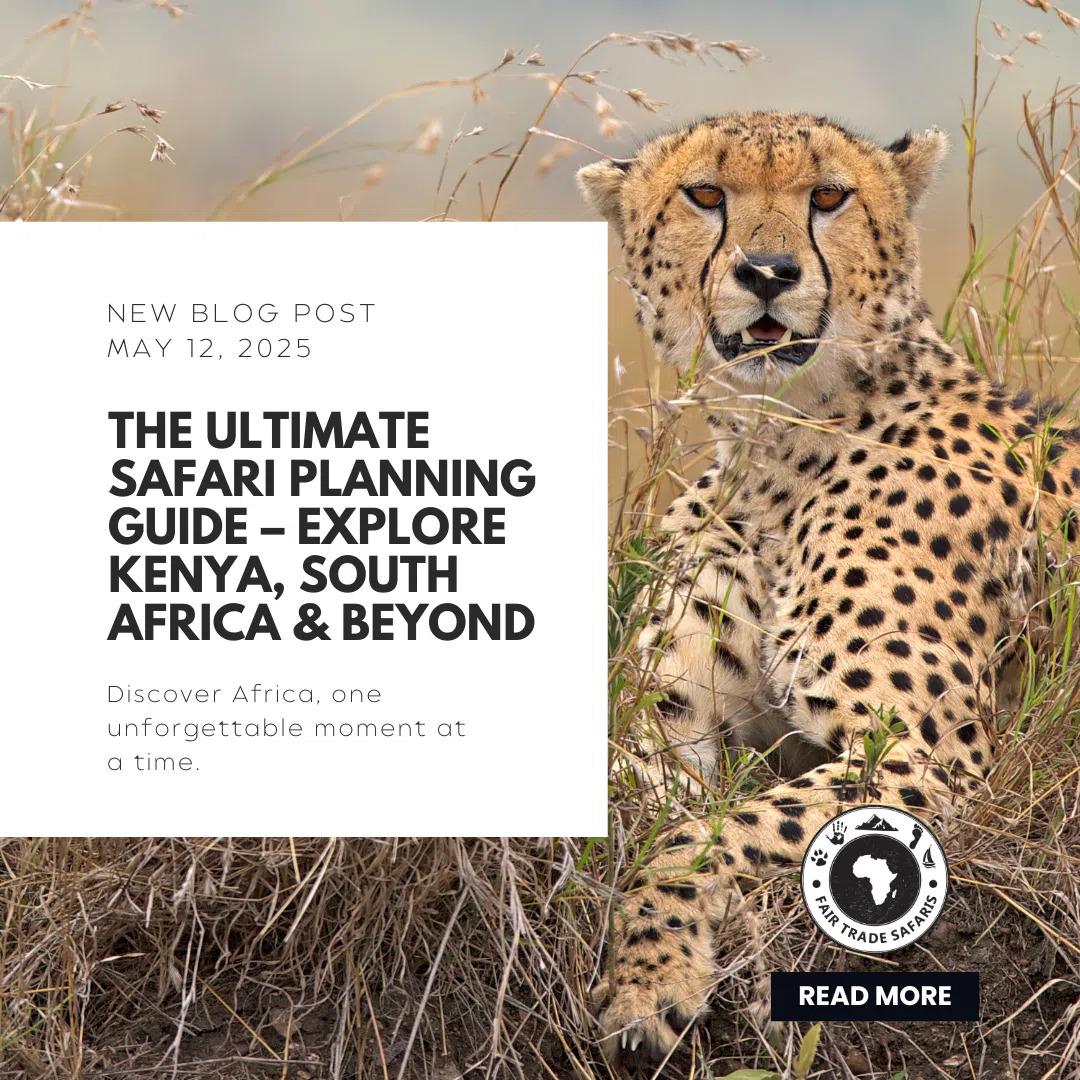 Exploring Africa