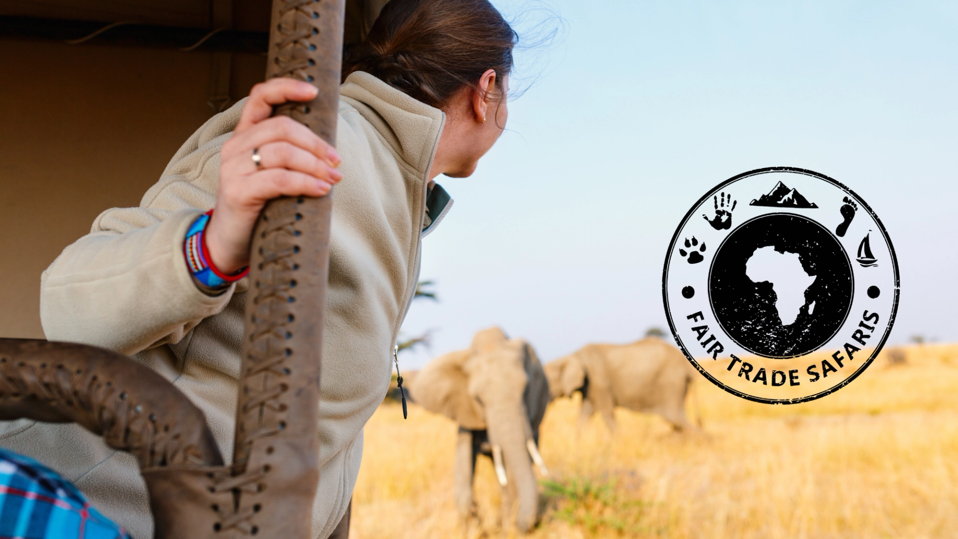 Woman leaning from a safari vehicle watching elephants walk through tall golden grass, with the Fair Trade Safaris logo displayed on the right.