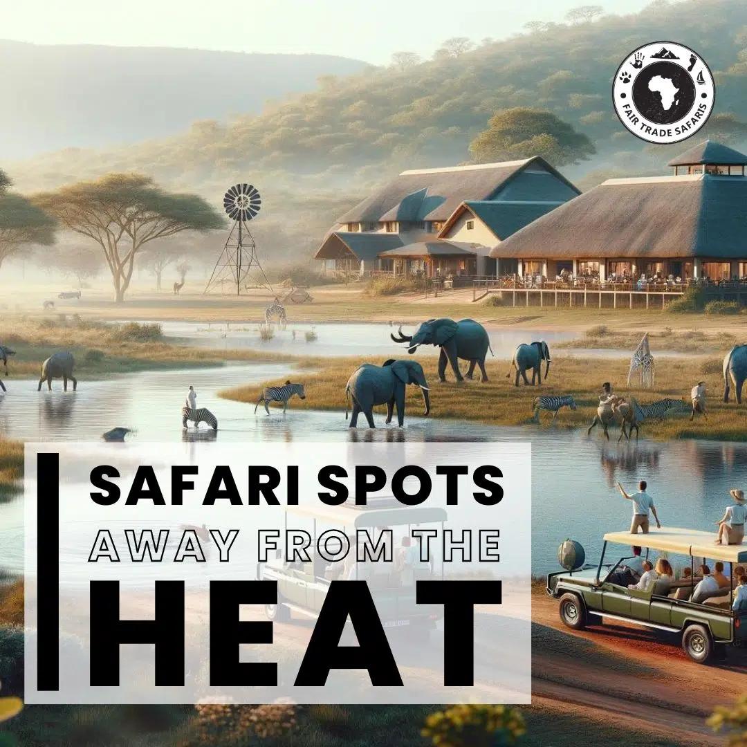 Elephants in cool delta waters with mountains in background at sunrise