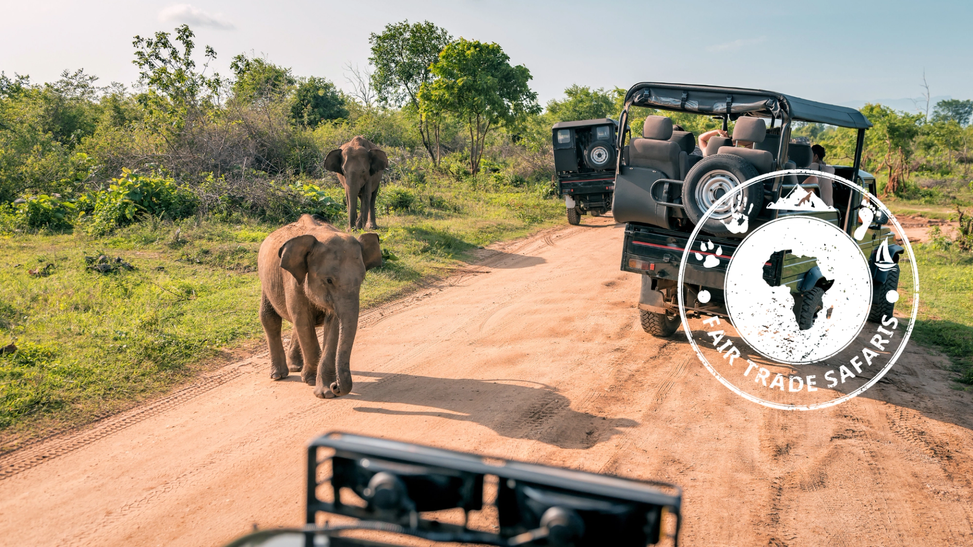 Young elephant walking along a dirt road toward safari vehicles, with another elephant in the background and the Fair Trade Safaris logo displayed on the right.