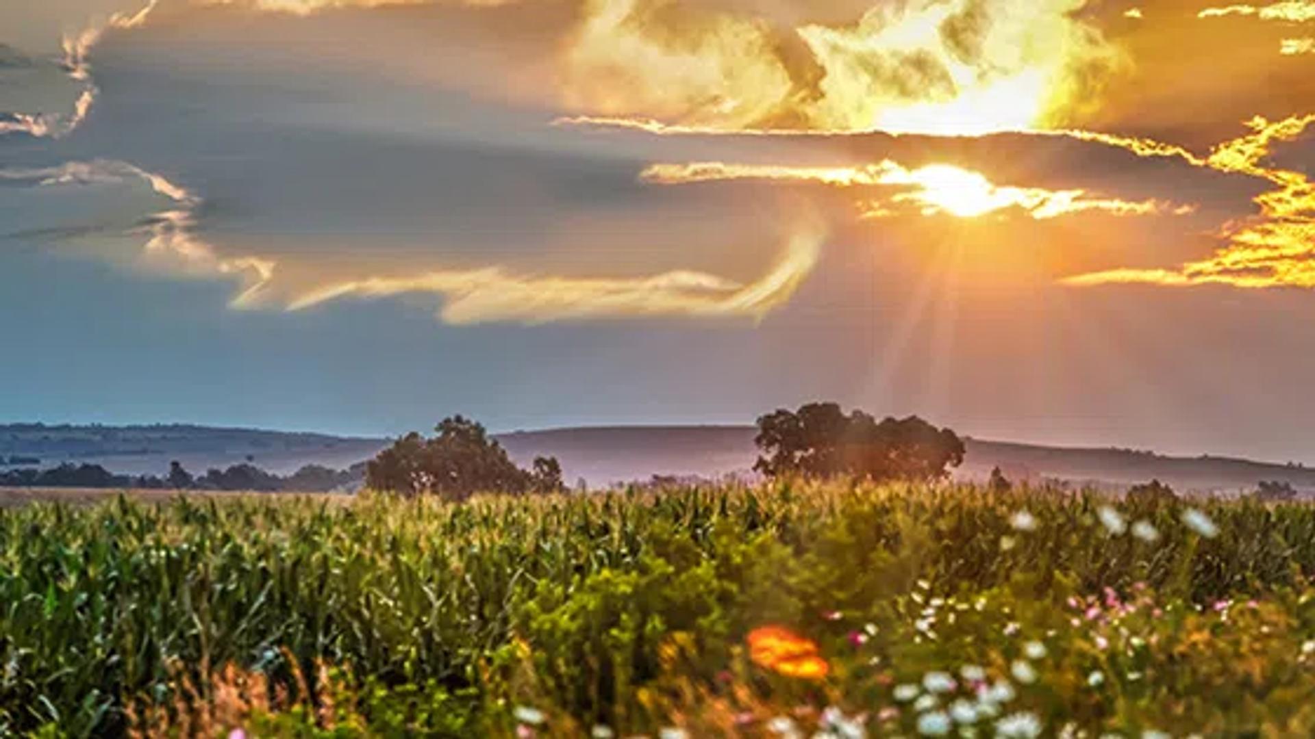 Sun Set Africa