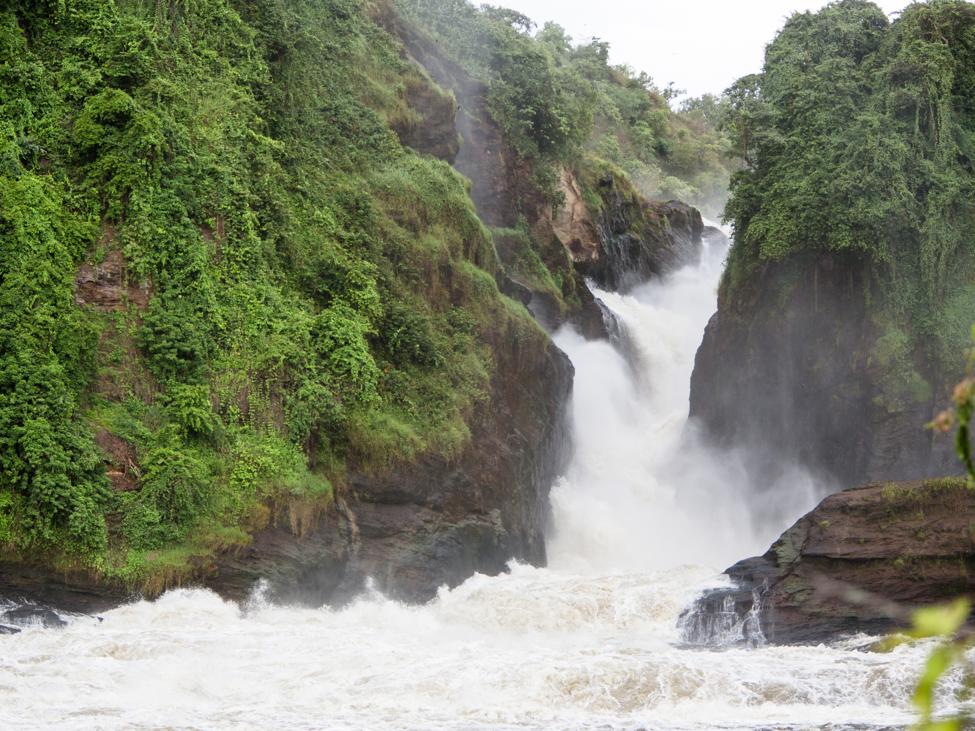 Murchison Falls and Nile River safari wildlife in Uganda