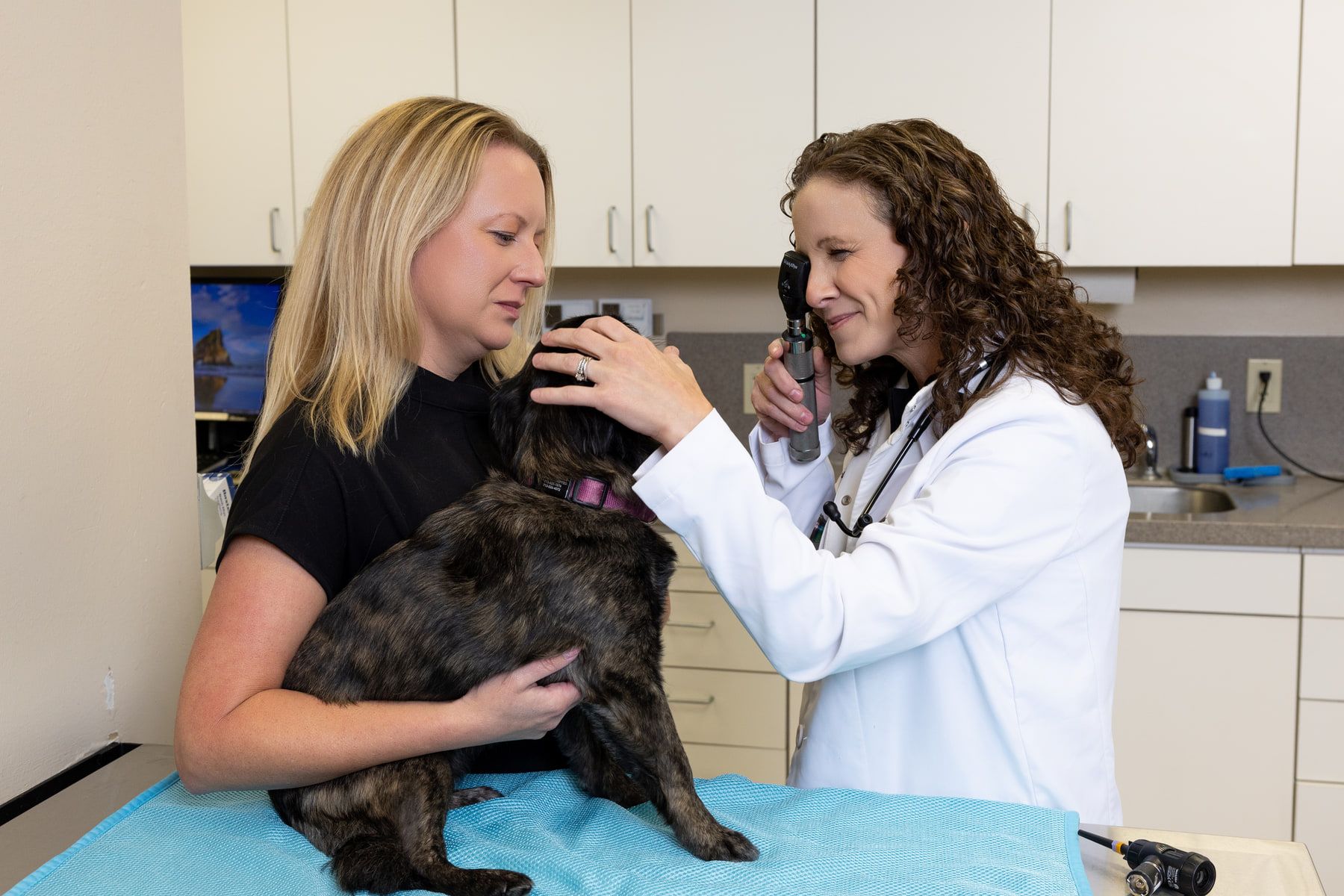 A veterinarian and a technician examining a dark-coated dog on an exam table